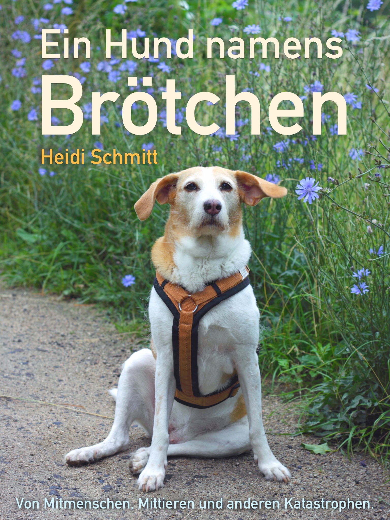 &quot;Ein Hund namens Brötchen&quot; von Heidi Schmitt. Kaufbefehl! mohrblog